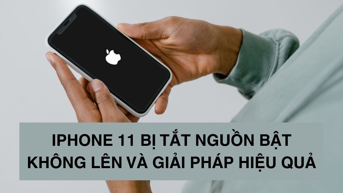 iPhone 11 bị tắt nguồn bật không lên và giải pháp hiệu quả